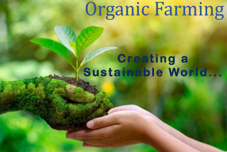organic farming to create a sustainable world