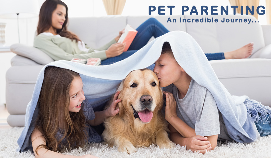 pet parenting