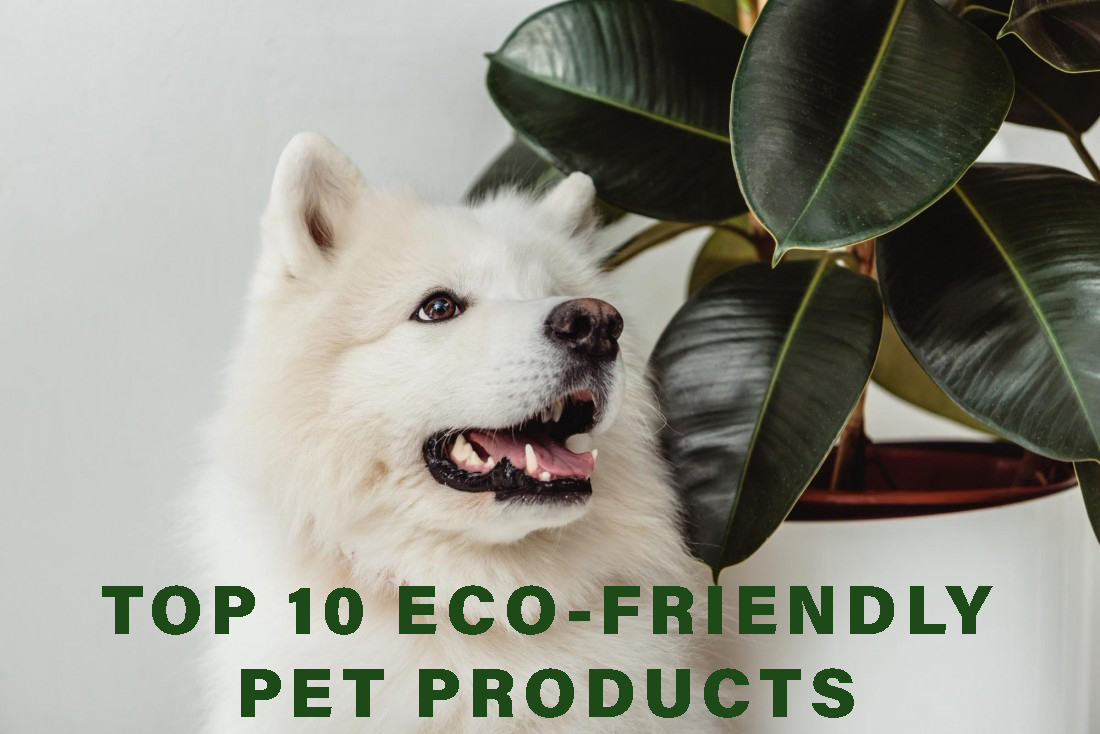 Eco-Friendly Pet Products