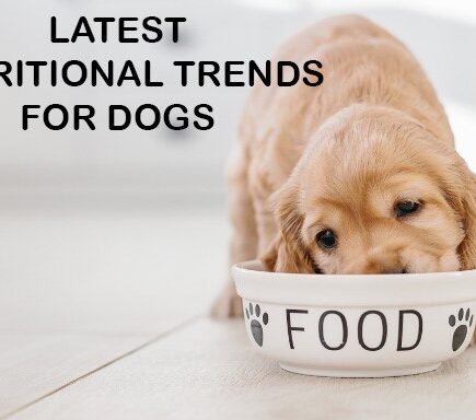 latest nutritional trends for dogs