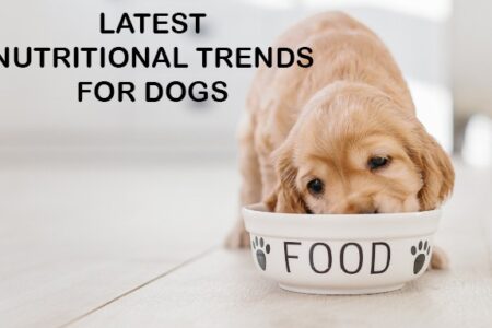 latest nutritional trends for dogs